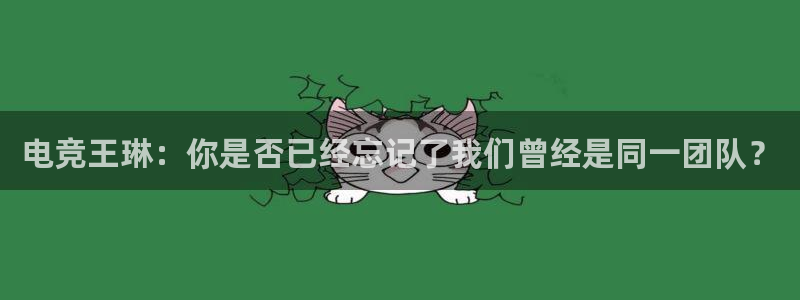 乐鱼电竞网站：电竞王琳：你是否已经忘记了我们曾经是同一团队？