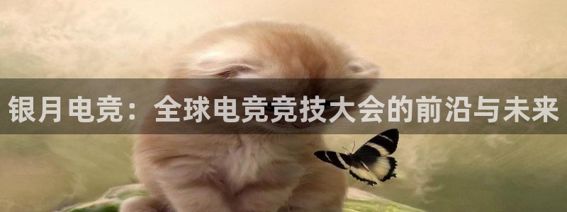 乐鱼电竞app下载：银月电竞：全球电竞竞技大会的前沿与未来