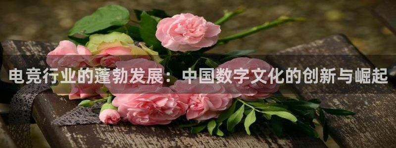 乐鱼电竞平台：电竞行业的蓬勃发展：中国数字文化的创新与崛起