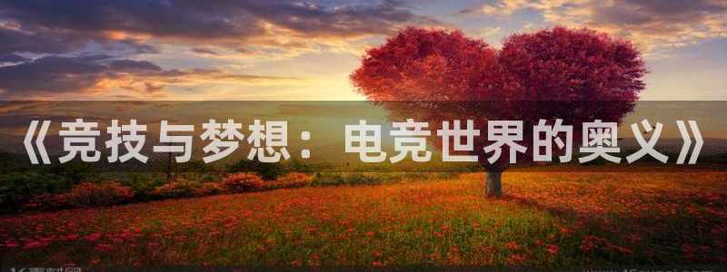 乐鱼电竞网站：《竞技与梦想：电竞世界的奥义》
