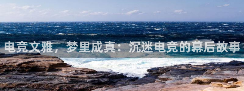 乐鱼电竞app