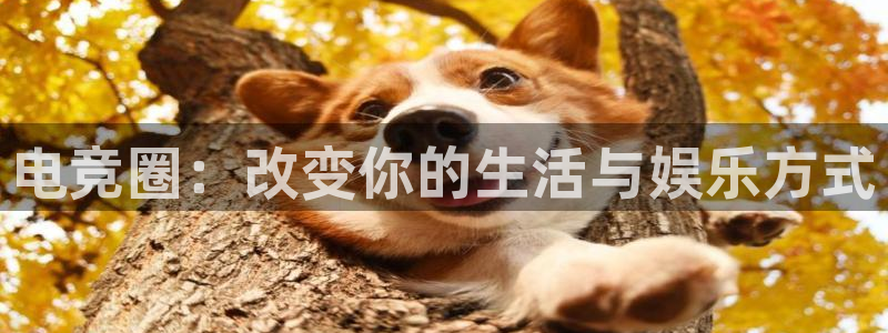乐鱼电竞平台：电竞圈：改变你的生活与娱乐方式