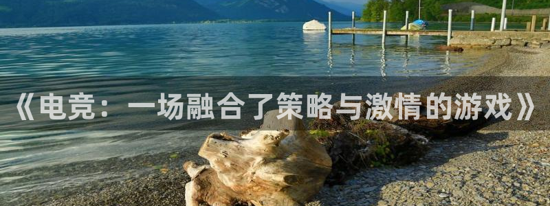 乐鱼电竞下载：《电竞：一场融合了策略与激情的游戏》
