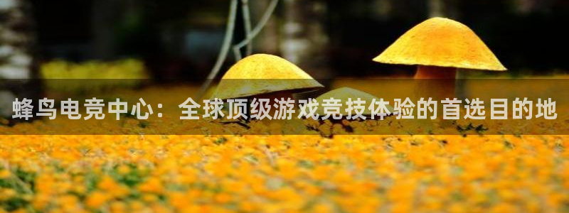 乐鱼电竞：蜂鸟电竞中心：全球顶级游戏竞技体验的首选目的地