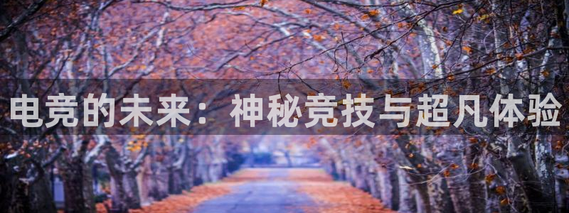 乐鱼电竞下载：电竞的未来：神秘竞技与超凡体验
