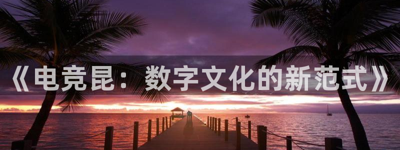乐鱼电竞下载：《电竞昆：数字文化的新范式》