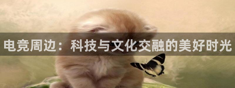 乐鱼电竞英雄联盟app官方：电竞周边：科技与文化交融的美好时光