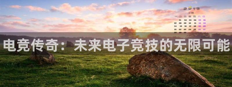 乐鱼电竞app下载：电竞传奇：未来电子竞技的无限可能