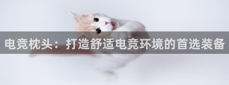 乐鱼电竞下载：电竞枕头：打造舒适电竞环境的首选装备
