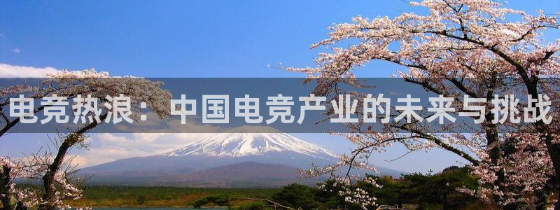 乐鱼电竞网站：电竞热浪：中国电竞产业的未来与挑战