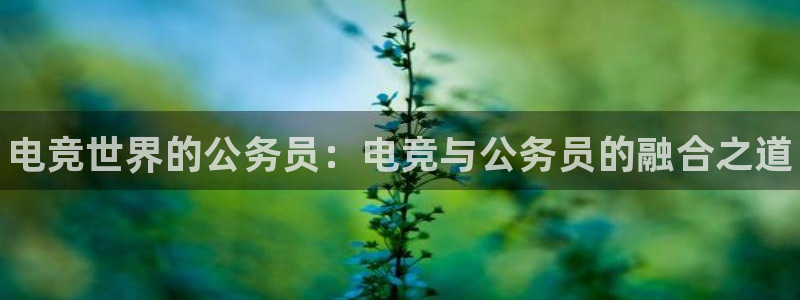 乐鱼电竞官网：电竞世界的公务员：电竞与公务员的融合之道
