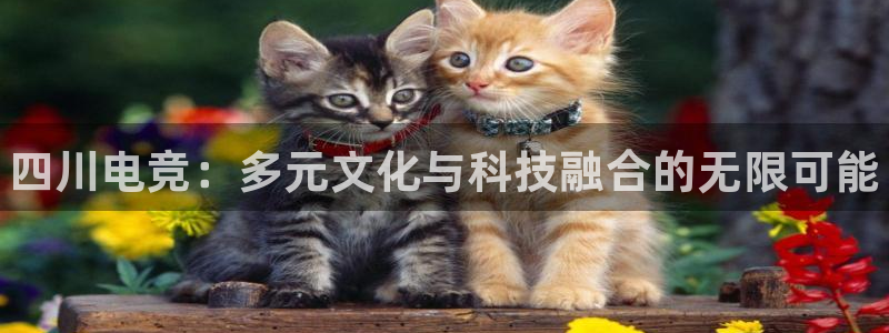 乐鱼电竞平台：四川电竞：多元文化与科技融合的无限可能