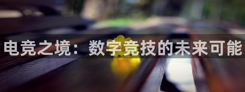 乐鱼电竞下载：电竞之境：数字竞技的未来可能