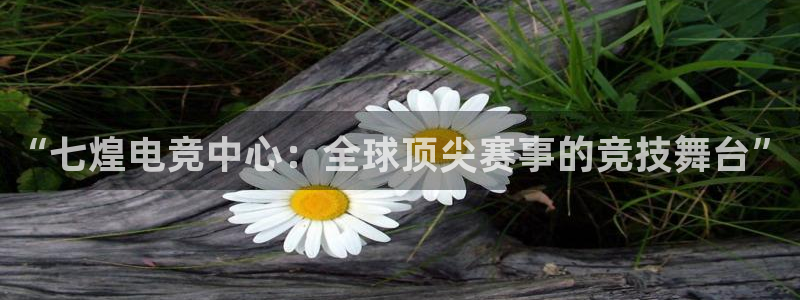 乐鱼电竞网站：“七煌电竞中心：全球顶尖赛事的竞技舞台”
