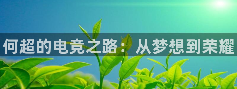 乐鱼电竞英雄联盟app官方：何超的电竞之路：从梦想到荣耀
