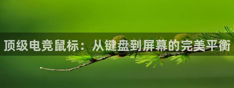 乐鱼电竞：顶级电竞鼠标：从键盘到屏幕的完美平衡