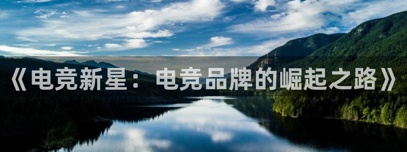 乐鱼电竞平台：《电竞新星：电竞品牌的崛起之路》