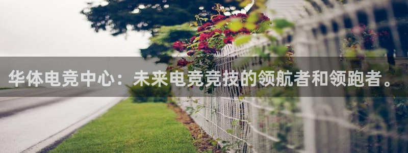 乐鱼电竞app下载：华体电竞中心：未来电竞竞技的领航者和领跑者。