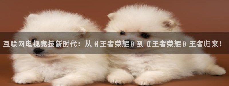乐鱼电竞平台：互联网电视竞技新时代：从《王者荣耀》到《王者荣耀》王者归来！