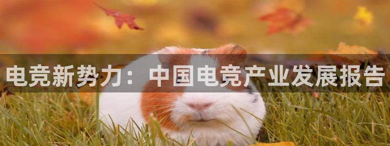 乐鱼电竞：电竞新势力：中国电竞产业发展报告