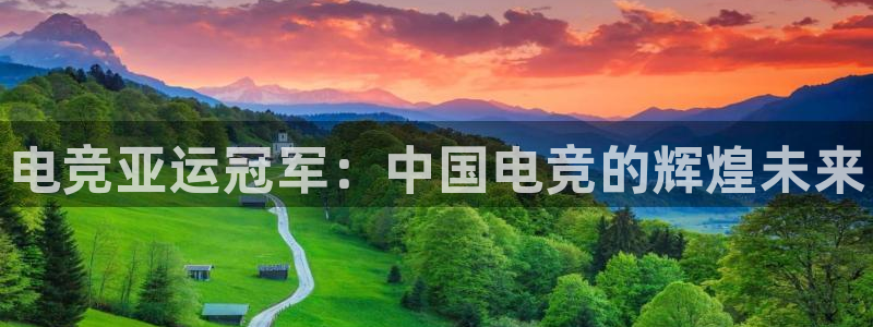 乐鱼电竞英雄联盟app官方：电竞亚运冠军：中国电竞的辉煌未来