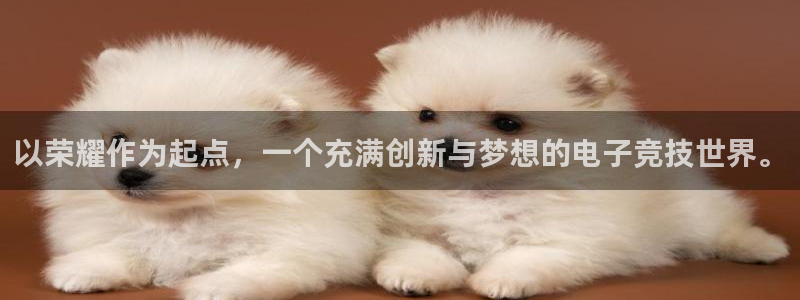 乐鱼电竞英雄联盟app官方：以荣耀作为起点，一个充满创新与梦想的电子竞技世界。