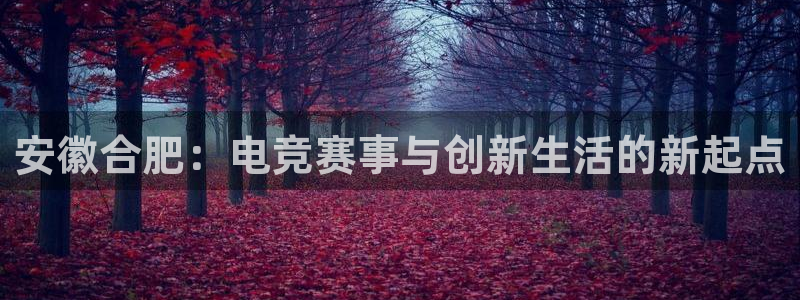 乐鱼电竞网站：安徽合肥：电竞赛事与创新生活的新起点