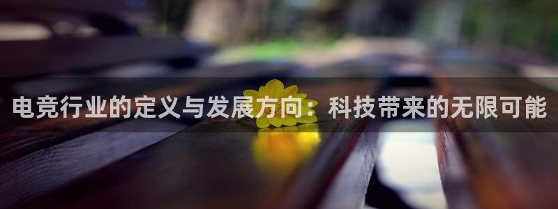 乐鱼电竞官网：电竞行业的定义与发展方向：科技带来的无限可能