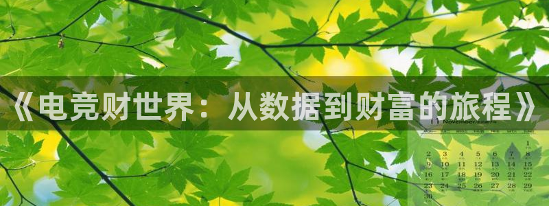 乐鱼电竞app：《电竞财世界：从数据到财富的旅程》