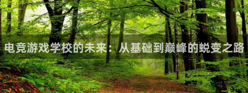 乐鱼电竞app：电竞游戏学校的未来：从基础到巅峰的蜕变之路