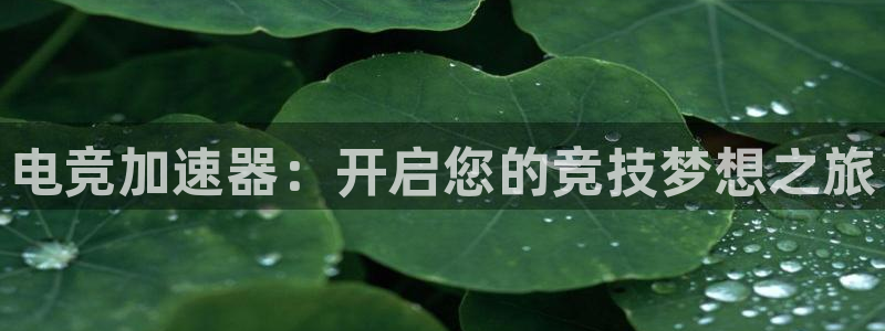 乐鱼电竞下载：电竞加速器：开启您的竞技梦想之旅
