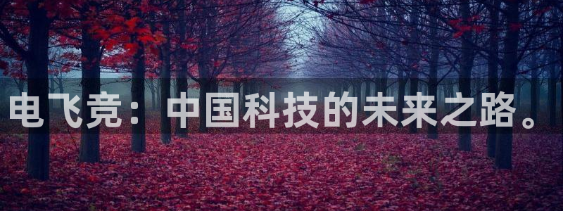乐鱼电竞app下载：电飞竞：中国科技的未来之路。
