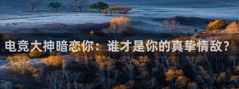 乐鱼电竞app：电竞大神暗恋你：谁才是你的真挚情敌？