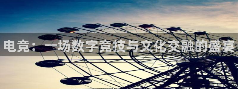 乐鱼电竞官网：电竞：一场数字竞技与文化交融的盛宴