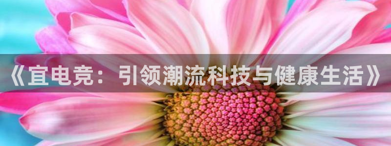 乐鱼电竞英雄联盟app官方：《宜电竞：引领潮流科技与健康生活》