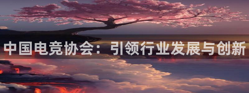 乐鱼电竞官网：中国电竞协会：引领行业发展与创新