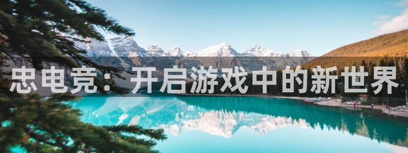 乐鱼电竞平台：忠电竞：开启游戏中的新世界