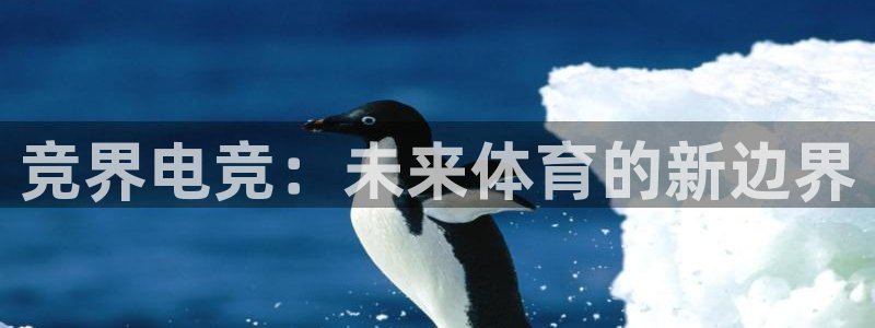 乐鱼电竞app下载：竞界电竞：未来体育的新边界