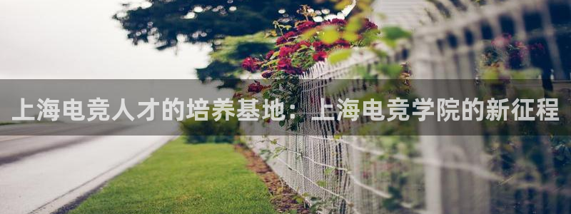 乐鱼电竞官网：上海电竞人才的培养基地：上海电竞学院的新征程