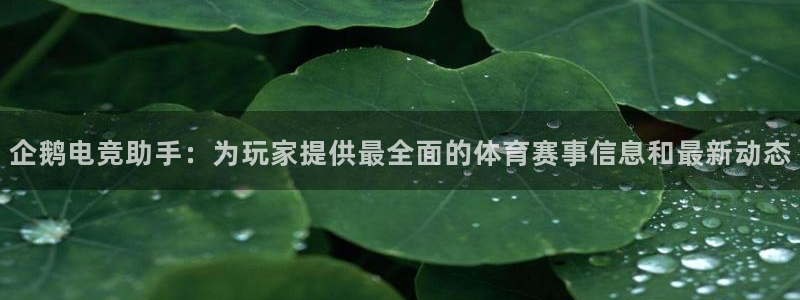 乐鱼电竞平台：企鹅电竞助手：为玩家提供最全面的体育赛事信息和最新动态