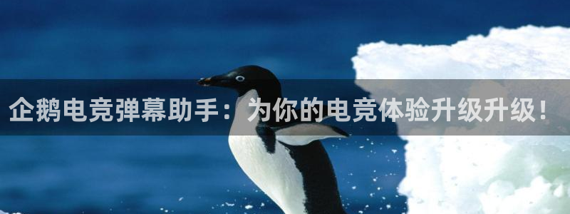 乐鱼电竞网站：企鹅电竞弹幕助手：为你的电竞体验升级升级！