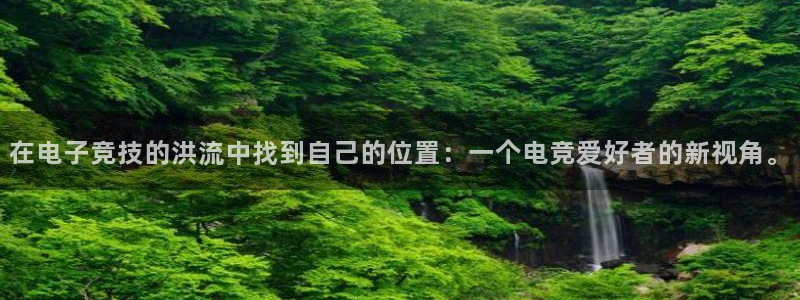 乐鱼电竞网站：在电子竞技的洪流中找到自己的位置：一个电竞爱好者的新视角。
