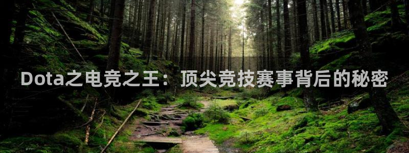 乐鱼电竞app下载：Dota之电竞之王：顶尖竞技赛事背后的秘密