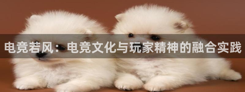 乐鱼电竞app下载：电竞若风：电竞文化与玩家精神的融合实践