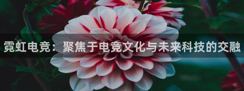 乐鱼电竞官网：霓虹电竞：聚焦于电竞文化与未来科技的交融
