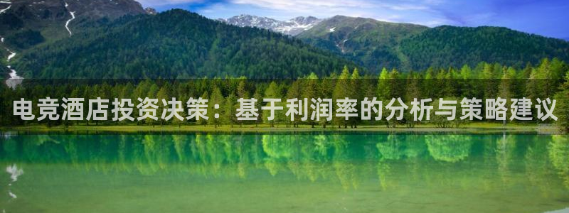 乐鱼电竞：电竞酒店投资决策：基于利润率的分析与策略建议