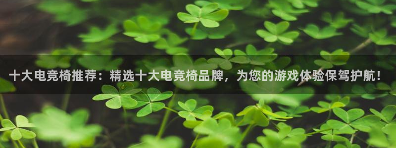 乐鱼电竞下载：十大电竞椅推荐：精选十大电竞椅品牌，为您的游戏体验保驾护航！