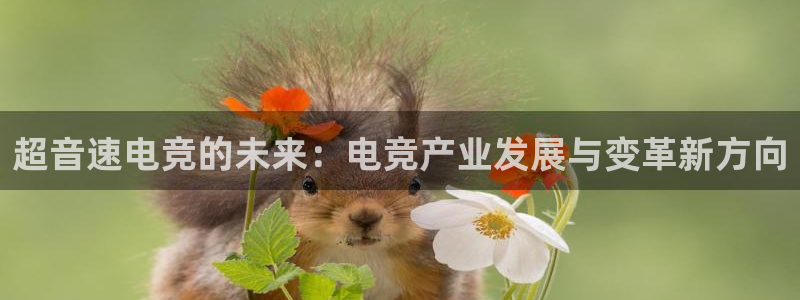 乐鱼电竞网站：超音速电竞的未来：电竞产业发展与变革新方向