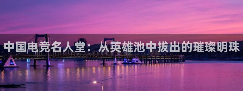 乐鱼电竞：中国电竞名人堂：从英雄池中拔出的璀璨明珠