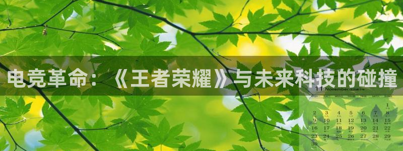 乐鱼电竞平台：电竞革命：《王者荣耀》与未来科技的碰撞